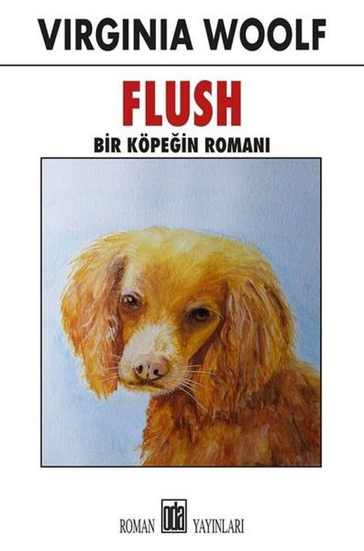Flush | Oda Yayınları (İnce Kapak)