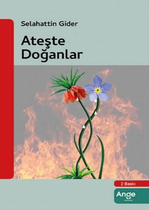 Ateşle Doğanlar