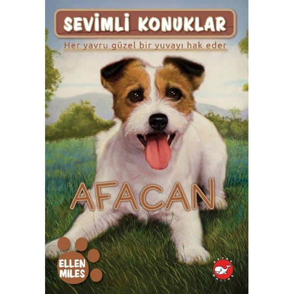 Afacan - Sevimli Konuklar 4 | Beyaz Balina Yayınları (İnce Kapak)