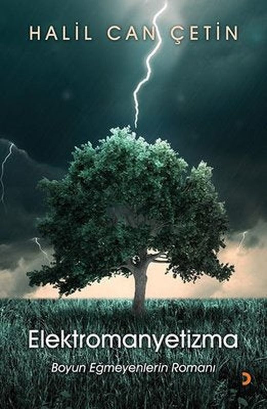 Elektromanyetizma-Boyun Eğmeyenlerin Romanı | Cinius