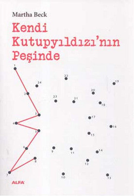 Kendi Kutup Yıldızı'nın Peşinde | Alfa Yayınları