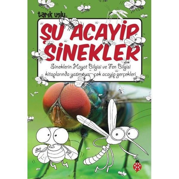 Şu Acayip Sinekler | Uğurböceği