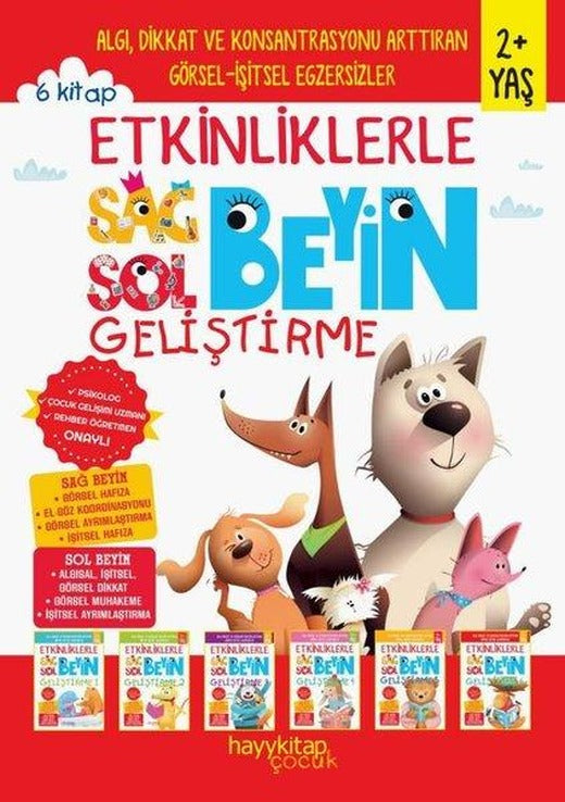 Etkinliklerle Sağ Beyin Sol Beyin Geliştirme 2+Yaş Seti - 6 Kitap Takım | Hayykitap (İnce Kapak)