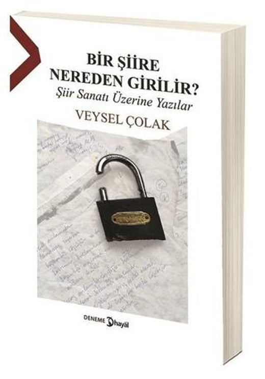 Bir Şiire Nereden Girilir? | Hayal Yayınları (Ciltsiz)