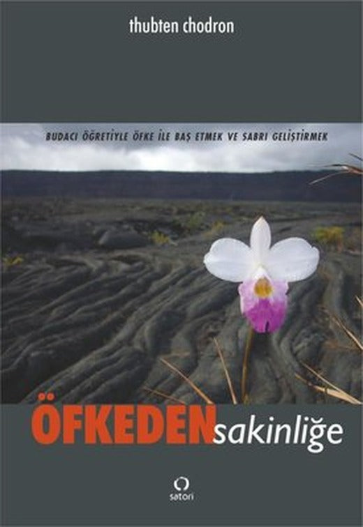 Öfkeden Sakinliğe | Satori