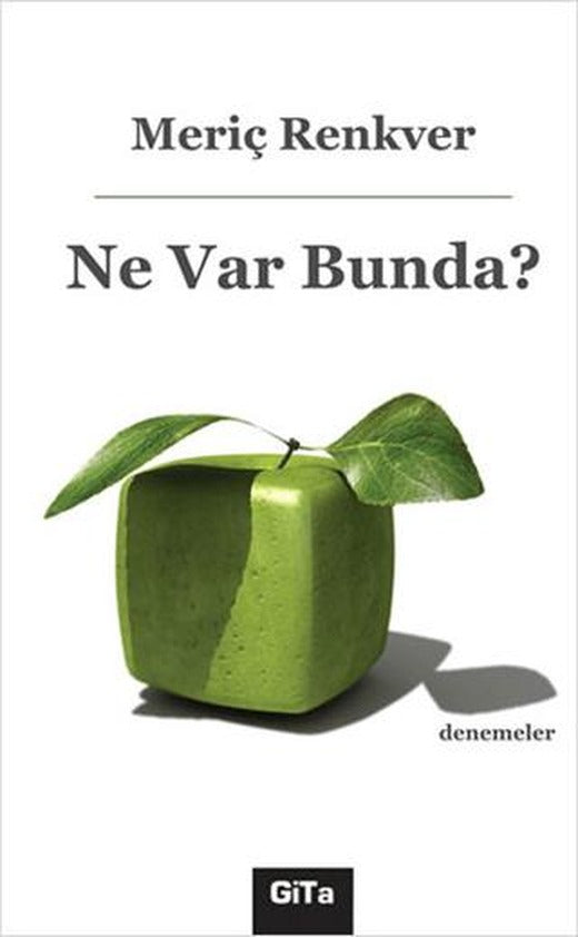 Ne Var Bunda? | Gita Yayınları (Ciltsiz)