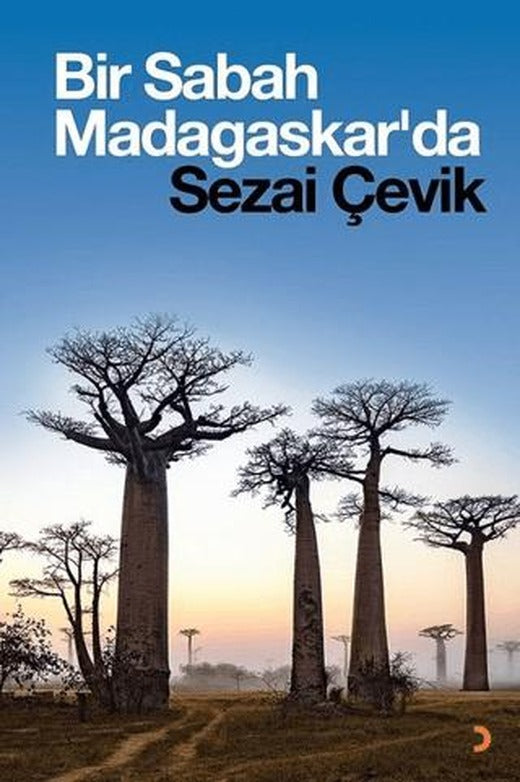 Bir Sabah Madagaskar'da