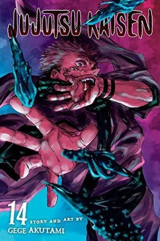 Jujutsu Kaisen Vol. 14 | Viz Media, Subs. of Shogakukan Inc