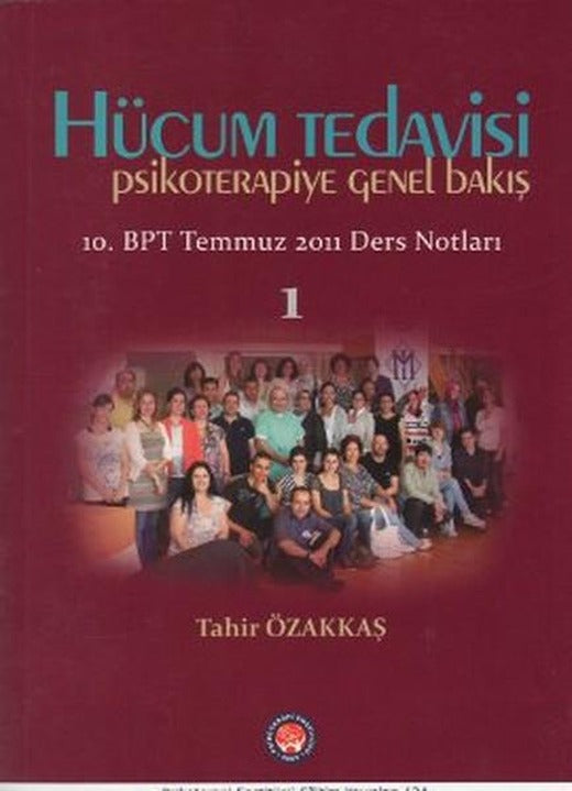 Hücum Tedavisi - Psikoterapiye Genel Bakış | Psikoterapi Enstitüsü (İnce Kapak)