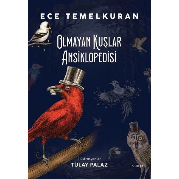 Olmayan Kuşlar Ansiklopedisi - Renkli Resimli | Everest Yayınları