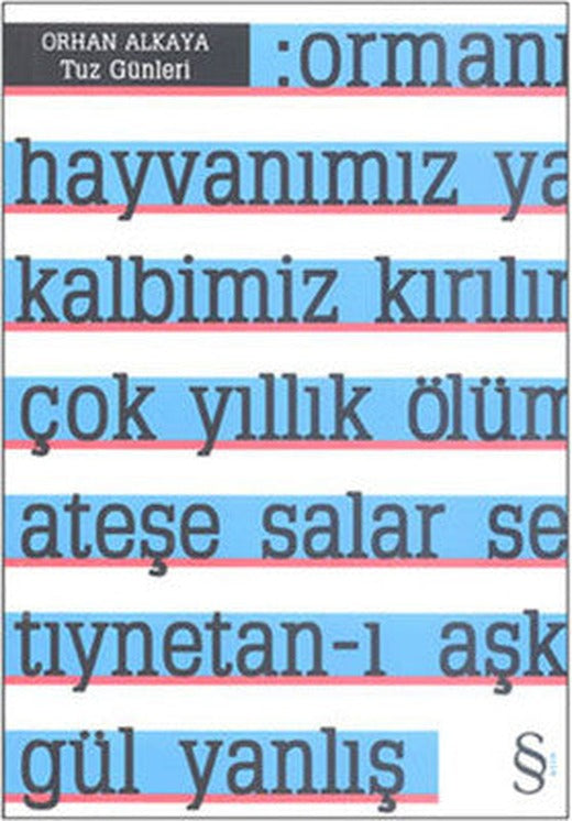 Tuz Günleri | Everest Yayınları