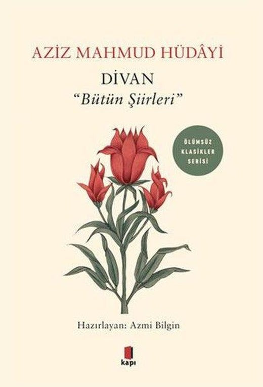 Divan-Bütün Şiirleri | Kapı Yayınları (İnce Kapak)