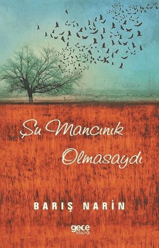 Şu Mancınık Olmasaydı | Gece Kitaplığı (Ciltsiz)
