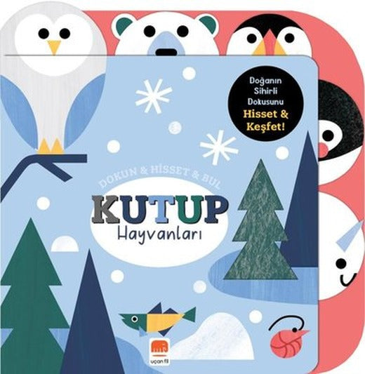 Kutup Hayvanları: Dokun - Hisset - Bul | Uçan Fil (Ciltli)