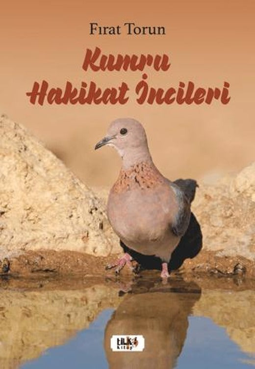 Kumru Hakikat İncileri | Tilki Kitap (Ciltsiz)