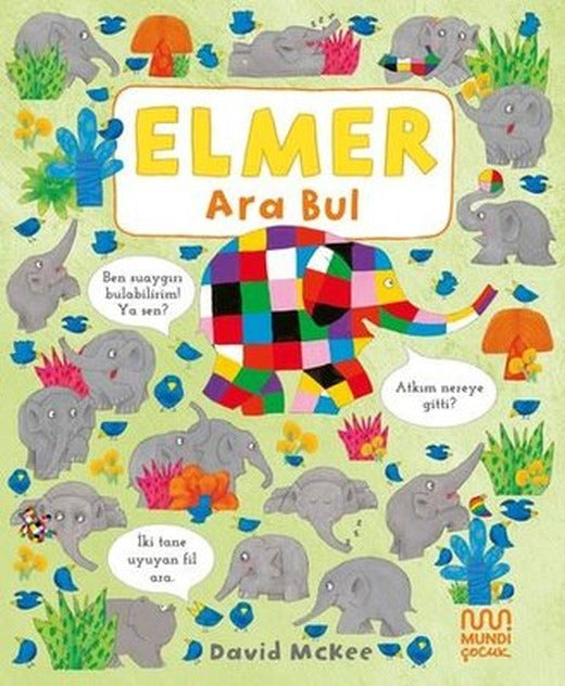 Elmer Ara Bul | Mundi (Ciltli)