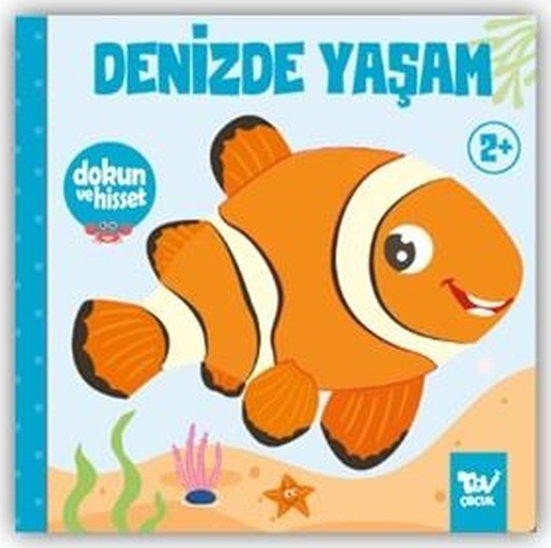 Denizde Yaşam - Dokun ve Hisset | Türkiye Diyanet Vakfı Yayınları (Ciltli)