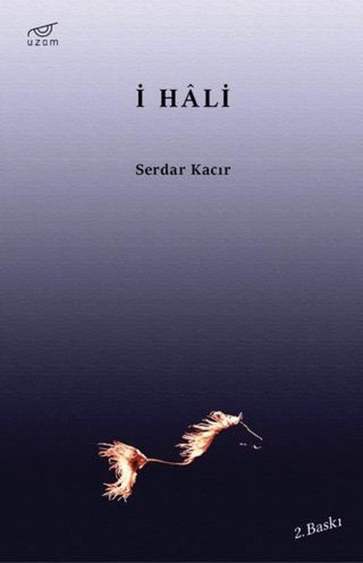 İ Hali