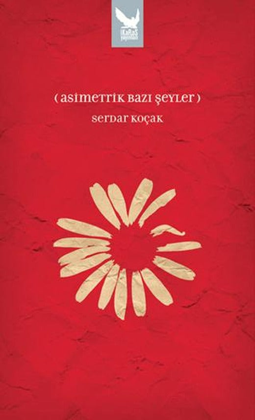 Asimetrik Bazı Şeyler | İkaros Yayınları (Ciltsiz)
