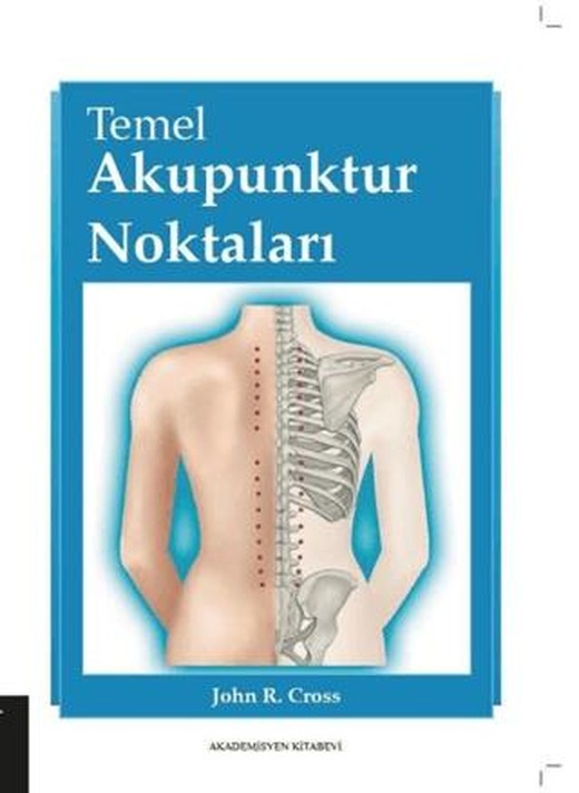 Temel Akupunktur Noktaları