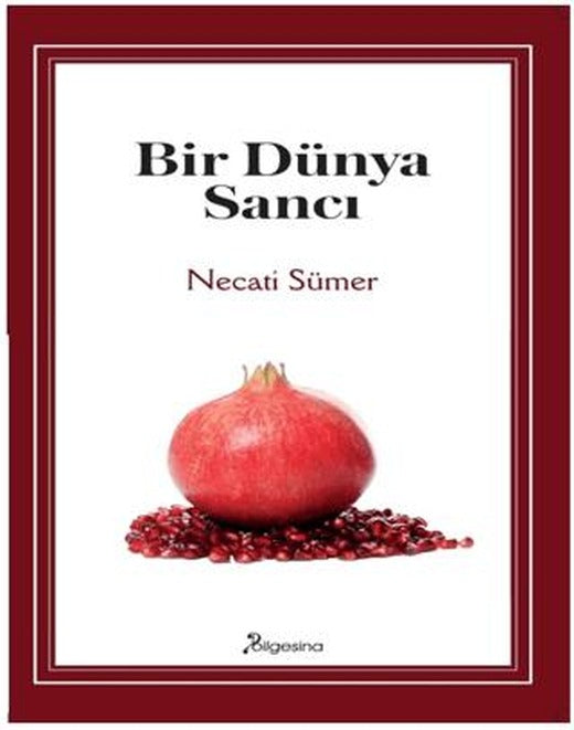Bir Dünya Sancı