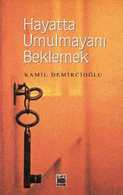 Hayatta Umulmayanı Beklemek | Elips Kitap (Ciltsiz)