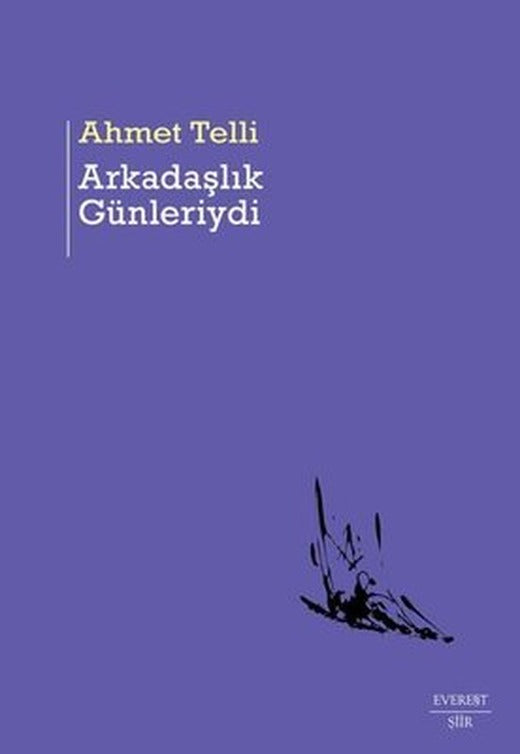 Arkadaşlık Günleriydi | Everest Yayınları
