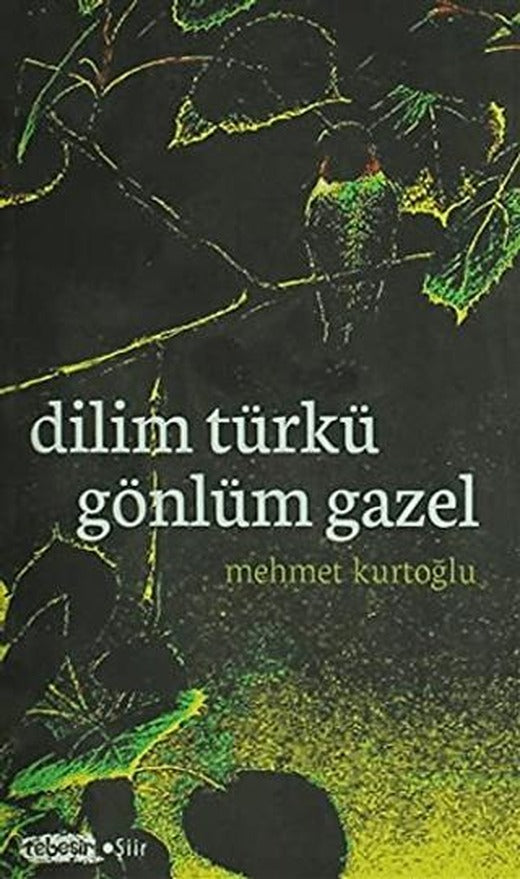 Dilim Türkü Gönlüm Gazel
