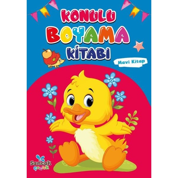 Konulu Boyama Kitabı - Mavi Kitap