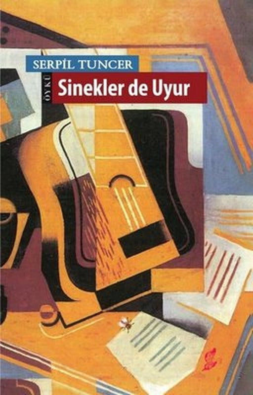 Sinekler de Uyur | Okur Kitaplığı