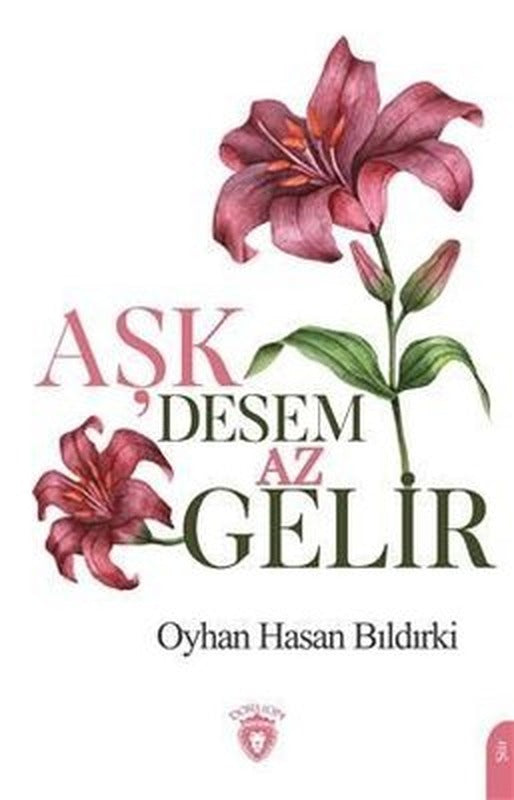Aşk Desem Az Gelir | Dorlion Yayınevi
