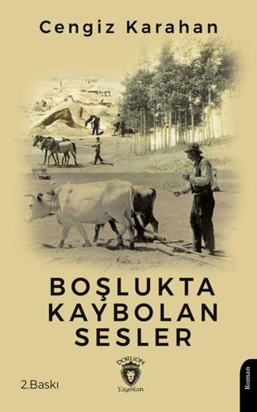Boşlukta Kaybolan Sesler | Dorlion Yayınları (Ciltsiz)