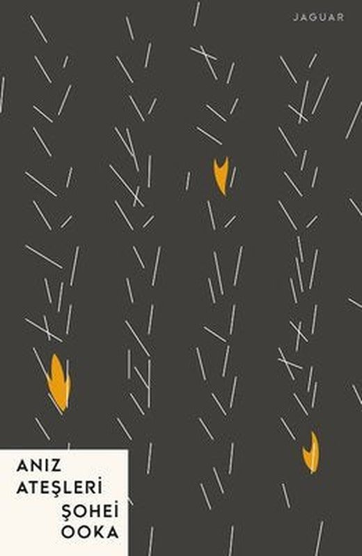 Anız Ateşleri | Jaguar Yayınları