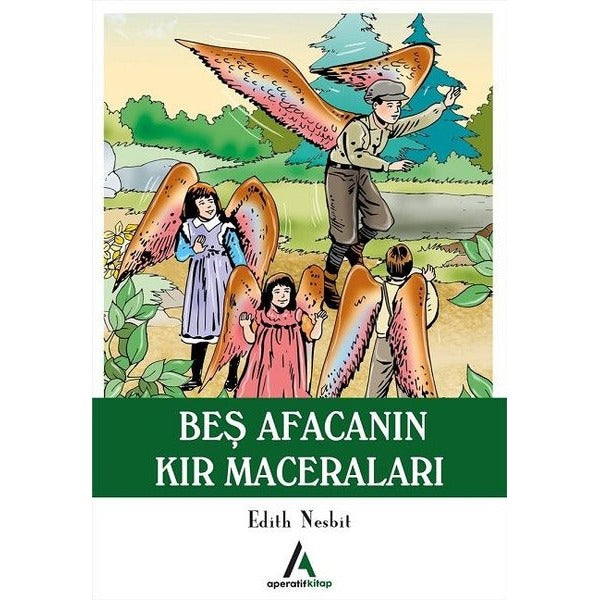 Beş Afacanın Kır Maceraları