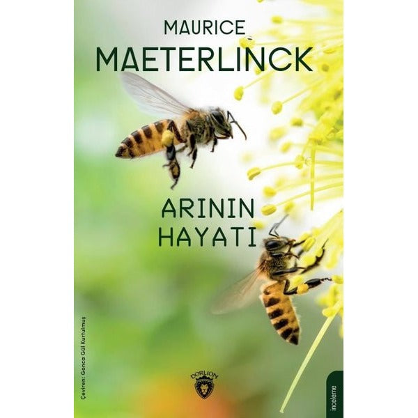 Arının Hayatı | Dorlion Yayınevi