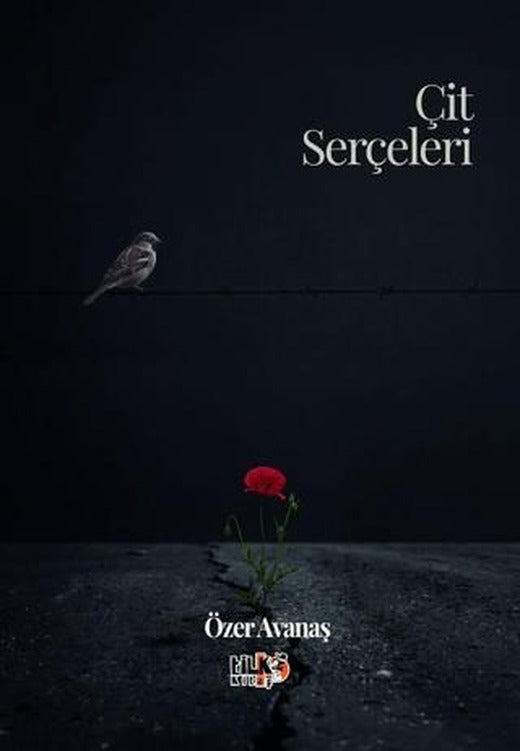 Çit Serçeleri | Şiir Antoloji Yayınları (Ciltsiz)
