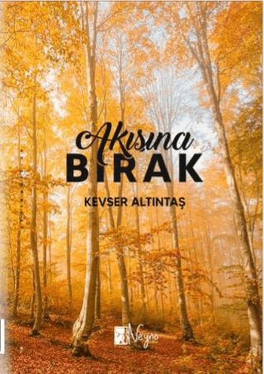 Akışına Bırak