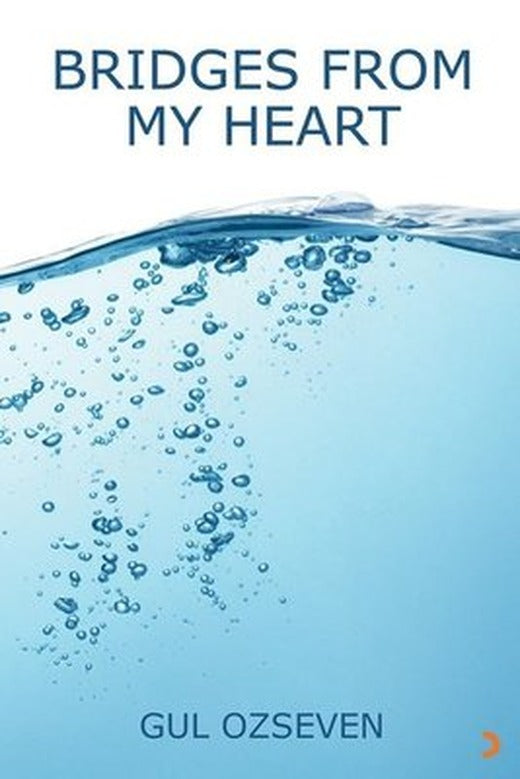 Bridges From My Heart | Cinius