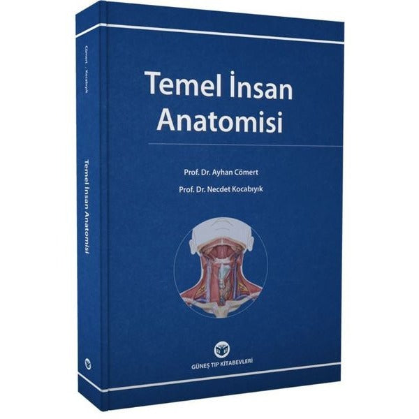 Temel İnsan Anatomisi | Güneş Tıp Kitabevleri (İnce Kapak)