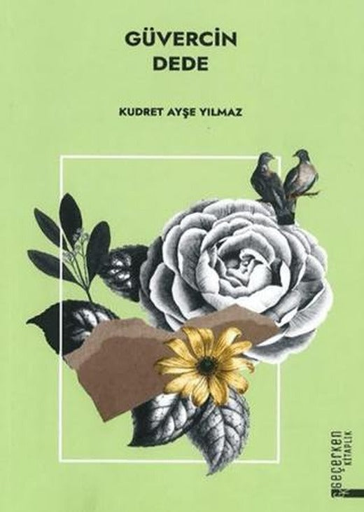 Güvercin Dede