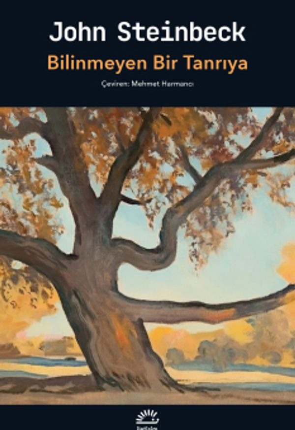 Bilinmeyen Bir Tanrıya | İletişim Yayınları (İnce Kapak )