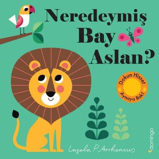 Neredeymiş Bay Aslan? Dokun Hisset Aynaya Bak! | Domingo Yayınevi