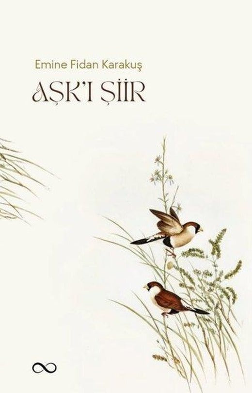 Aşk'ı Şiir | Bengisu Yayınları (İnce Kapak)