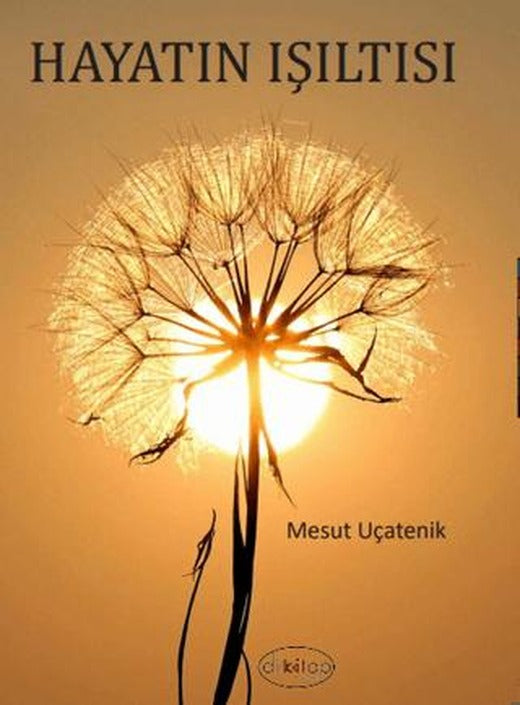 Hayatın Işıltısı