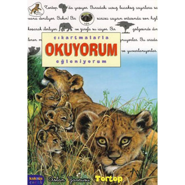 Aslan Yavrusu Tortop - Çıkartmalarla Okuyorum Eğleniyorum | Kaknüs Yayınları