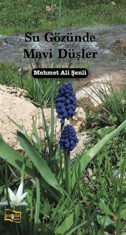 Su Gözünde Mavi Düşler