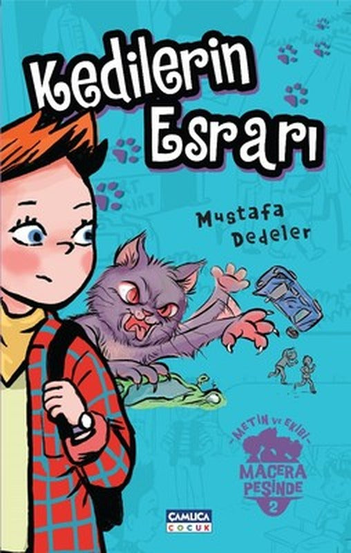 Kedilerin Esrarı-Metin ve Ekibi 2 | Çamlıca Çocuk Yayınları