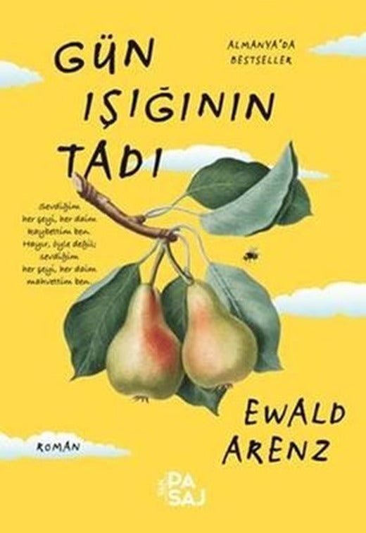 Gün Işığının Tadı | Yan Pasaj