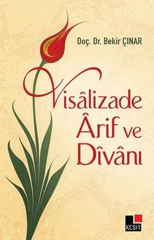 Visalizade Arif ve Divani | Kesit Yayınları