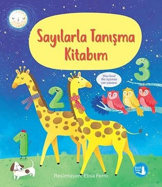 Sayılarla Tanışma Kitabım | Büyülü Fener